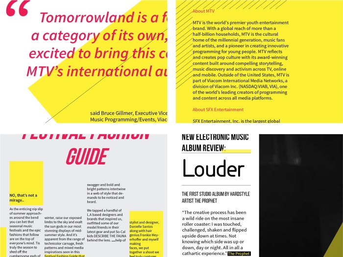 Ezine Extravaganza Ebook With Private Label Rights